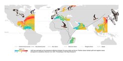 Terrestrial birds are capable of flying for hundreds of kilometers over the open sea. Nourani et al. show that the autumn migration trajectories of some of these birds correspond with uplift over the sea surface. Suitable uplift means less drag, making sea-crossing less energetically demanding. Moreover, strong uplift can allow the birds to soar.