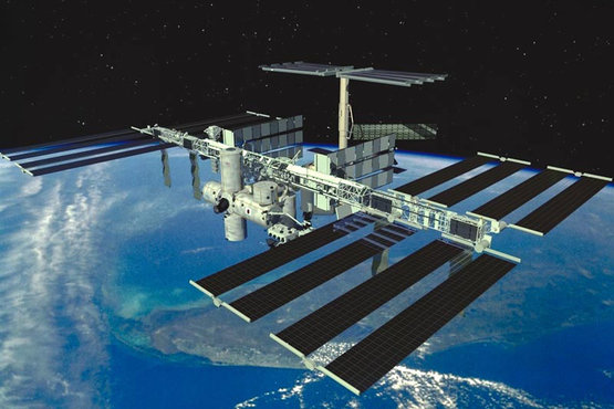 Homepage - Animal Sensors Website | Icarus – Max-Planck-Gesellschaft Homepage - Animal Sensors Website | Icarus – Max-Planck-Gesellschaft