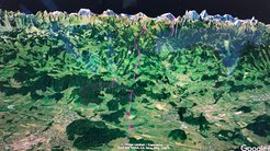Hawkmoth migration into Alps