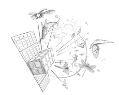 CubeSat with view of earth and animals