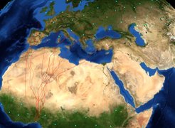 Using global weather data from the past 21 years, researchers have developed a model for calculating the optimal migratory routes of birds of passage. The shortest flight times are not simply given by the least distance. This model also takes account of spatial and temporal changes in wind conditions.