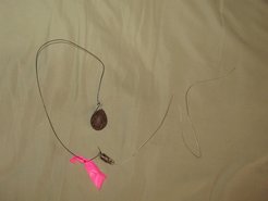 Besenderte Frucht: Minitaur-Transmitter mit Antenne an einem Samen, wie sie zur Untersuchung der Verbreitung von Samen durch Agoutis im Tropenwald Panamas verwendet wurden.