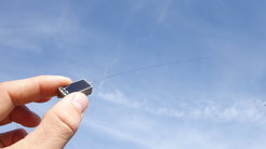 The transmitters specially developed for Icarus weigh only five grams. They measure the position and various body data of the animal and transmit the measured data by radio.